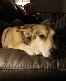 Duke