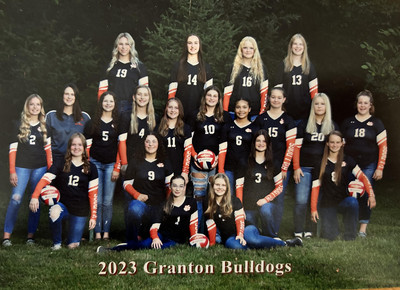 HS Volleyball Team Photo